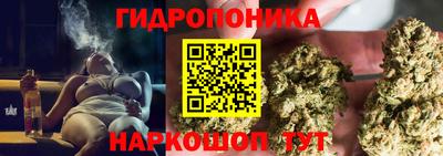 прущие грибы Бузулук
