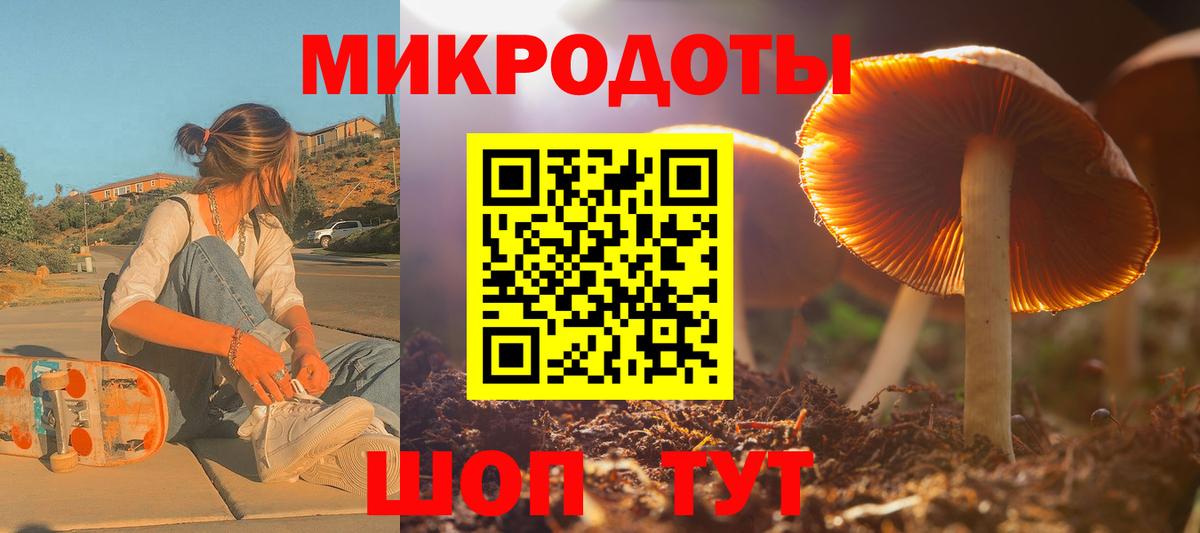 Псилоцибиновые грибы GOLDEN TEACHER Новодвинск
