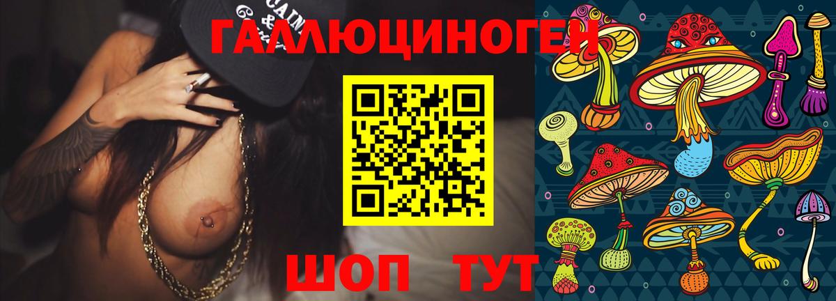 Новодвинск  Псилоцибиновые грибы Psilocybe  Вход с VPN 